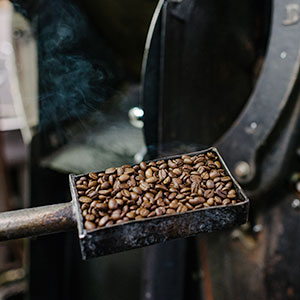 Roasted Brean Directly from Roaster